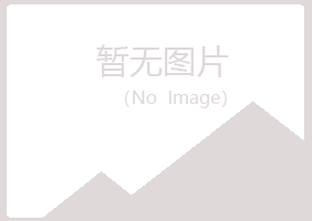 渭南临渭夏日土建有限公司